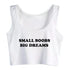 Small Boobs Big Dreams Crop Top